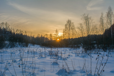 Ржевский лесопарк зимой