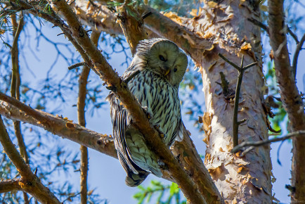 На ветру